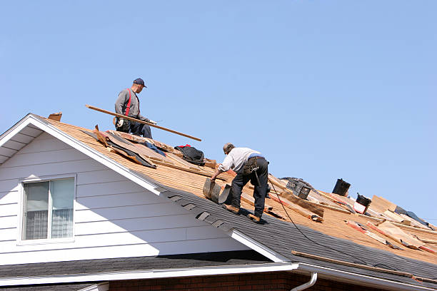 Professional Roofing services in Thatcher, AZ